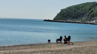 Новомихайловский 18.05.2023 море,солнце 🌞,пальма🌴
