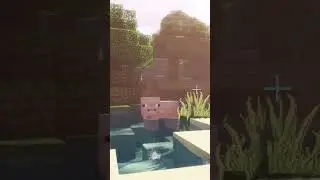 Свинка флексит