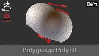 Zbrush and Substance Painter - Polygroup Polyfill