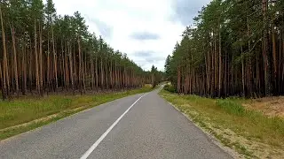 Красивая лесная дорога в Чувашии