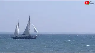 QUIBERON   |  ⛵Le ketch Ring Andersen hisse les voiles  |   TV Quiberon 24/7