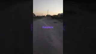 29 августа 2024 г.