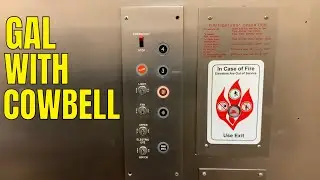 Epic Motor: Chiselbrook? Hydraulic Elevator - 2019 Cunningham Drive - Hampton, VA