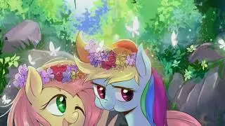 My Little Pony Rainbow Dash x Fluttershy Tribute