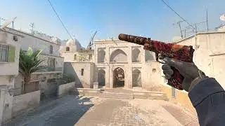 USP S   Orange Anolis Counter Strike 2 SHOWCASE 2025
