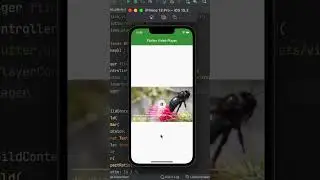Video Player in 