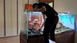 #1 Build Aquascape | Tank 200 x 70 x 70 Centimet | Double Bonsai | Aquarium design