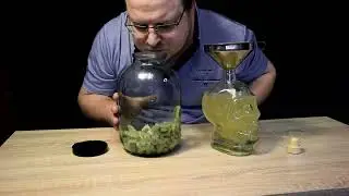 Настойка на киви! Это просто обалденная штука !