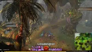 GW2 Druid Runestone Achievement NPCs Locations