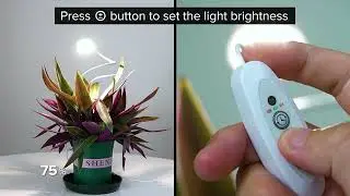 Clamp the SANSI pot clip-on led grow light to anywhere!