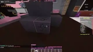 BEST MINECRAFT GIRL???