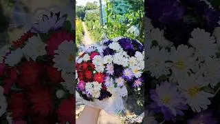 Цветочки 🌸🌺🌻🌹🌷🌼💐😊