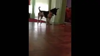 Attacking time