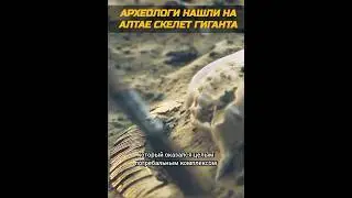 Археологи раскапали гигантов на Алтае!!