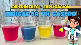 Indicador PH casero 🧪 Experimento + explicación