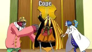 Golden Lion Shiki Ratios You