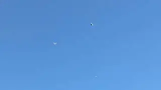 Ахота на голубей И.Т.