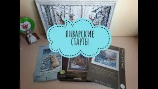 ЯНВАРСКИЕ СТАРТЫ  @dimensions @panna