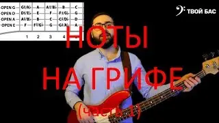 Ноты на грифе бас гитары (часть1)