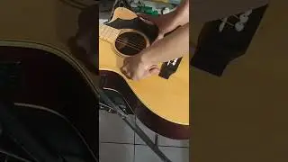 Guitar Pick Guard 