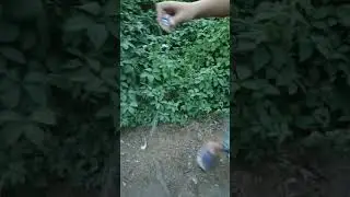 19 июня 2024 г.