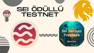 SEİ ÖDÜLLÜ TESTNET 1. AŞAMA | NASIL KATILINIR?