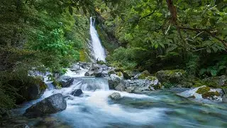 Wild New Zealand Landscape Photography