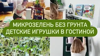 ОРГАНИЗУЮ ИГРУШКИ В ГОСТИНОЙ и ВЫРАЩИВАЮ МИКРОЗЕНЕЛЬ БЕЗ ГРУНТА
