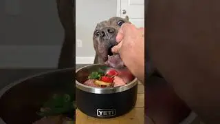 A Colorful Bowl