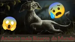 Animais mais Bizarro  do Mundo , Animais  raros - extinção