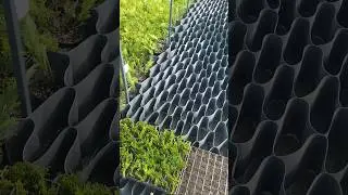 Гео решетка для дренажа туй