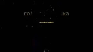 История о умной Кошке 