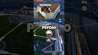 my dog hit a PSYCHO