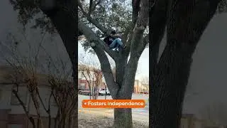 Benefits Of Tree Climbing For Kids 🌳 #indianmominusa #parenting #youtubeshorts #kidsactivityideas