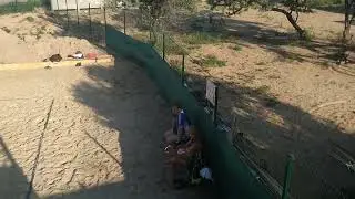 Волейбольные баталии