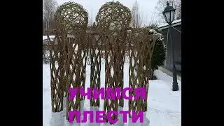 Плетёное дерево из ивы и прут для деревьев своими руками плетём деревья , инструкция по плетению