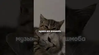 музыка для флешмоба 2023