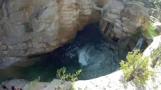 La Pampanera   - COFRENTES