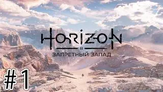 Horizon Forbidden West #1