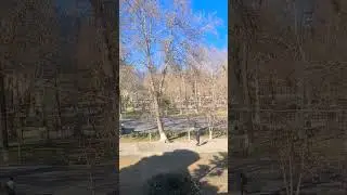 Paqildoq tayyorlash