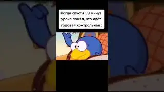 когда поняв 39 минут урока что идёт годовая контрольная 