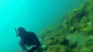 Подводная охота в Крыму