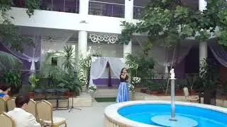 одинокая бродит гармонь