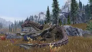 Skyrim Mods: Dragon Transformation