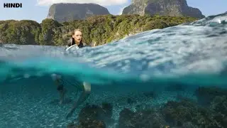 The Shallows (2016) Movie Explained in Hindi & Urdu हिन्दी (Horror)