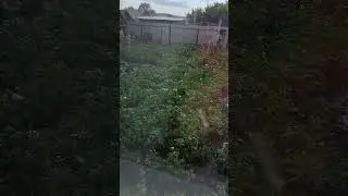 Днём в тени было +40! И неожиданно это случилось!