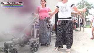 Rosiorii de Vede  si legea junglei