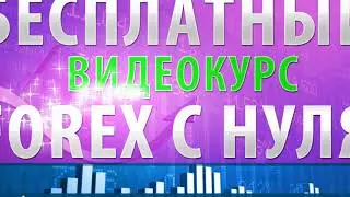 Уроки Форекс Для Чайников | Видеокурс по форекс для чайников