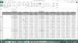 MS Excel 2013 -Views