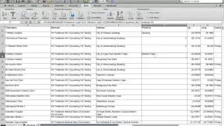 Extracting information from cells in Excel